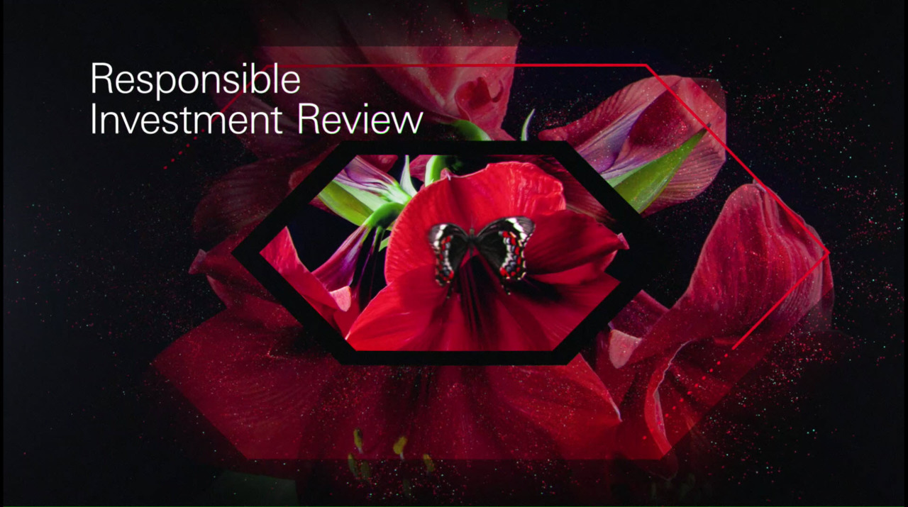 Responsible Investment review
