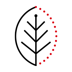 Our climate technology strategy