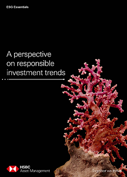 ESG Essentials Brochure