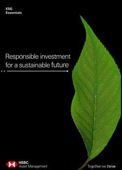 ESG Essentials Brochure 1