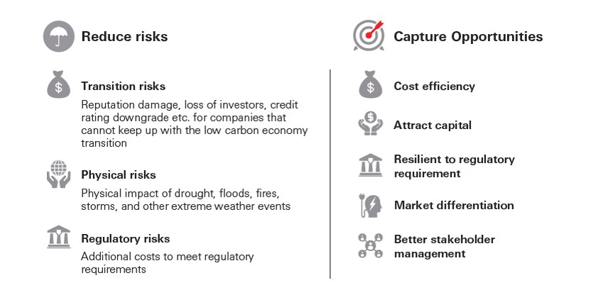 Risks and Opportunities 