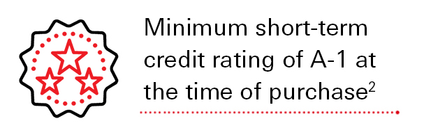 Minimum short-term credit rating of A-1 at the time of purchase2