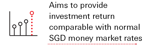Aims to provide investment return comparable with normal SGD money market rates