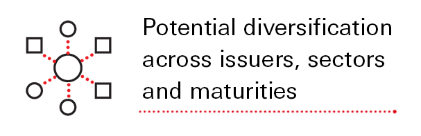 Potential diversification across issuers, sectors and maturities