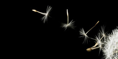 Financed Emissions Disclosures Reporting Criteria