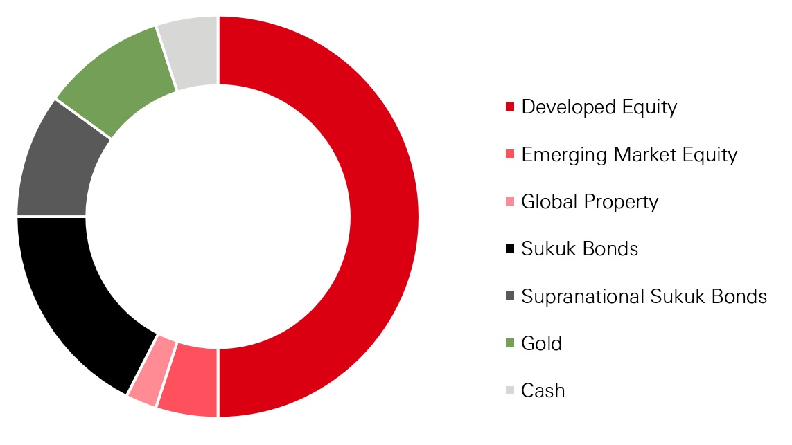 Typical Shariah Multi-Asset Balanced Portfolio